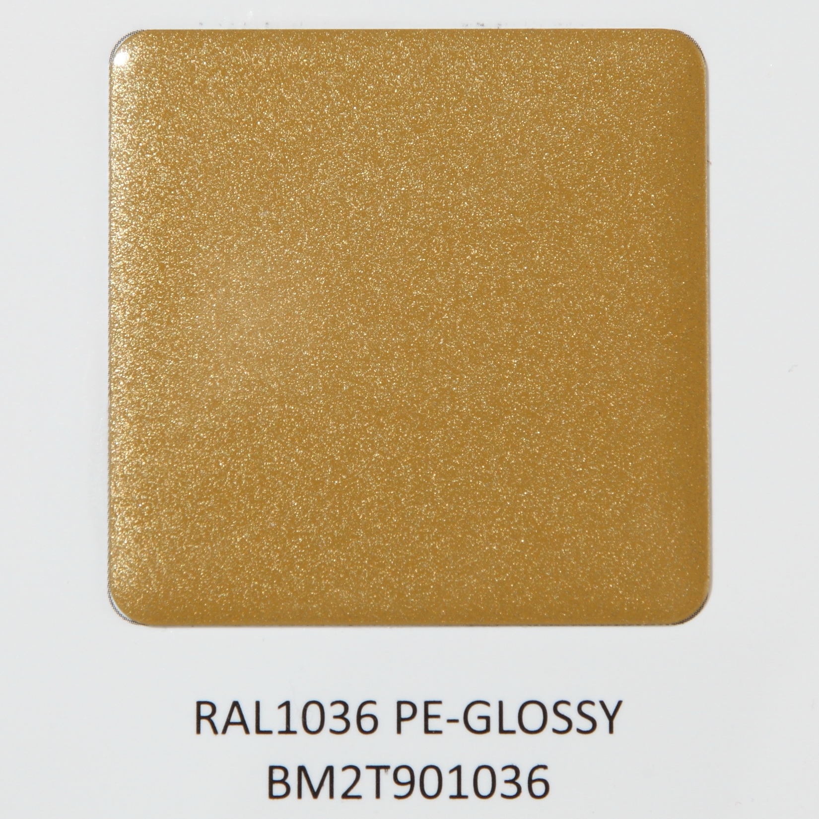 RAL1036 PE GLOSSY BM2T901036