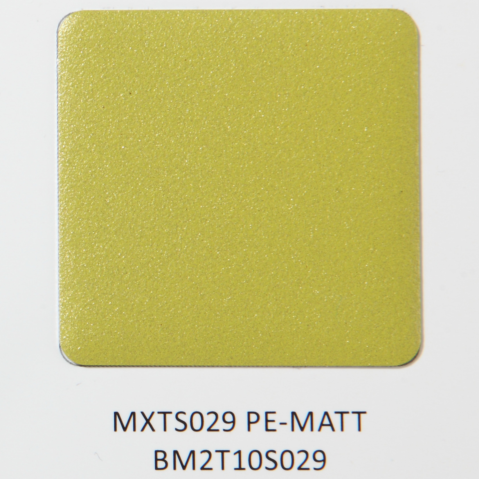 MXTS029 PE MATT BM2T10S029